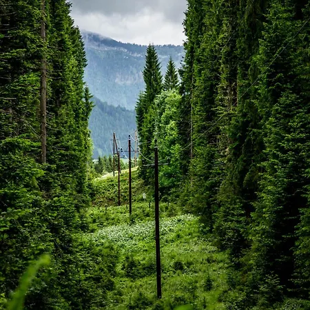 Appartement Gluexplatzl Gmbh Am Wald